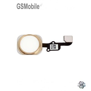 home button for iPhone 6 Plus Gold - Sale of Apple Replacement Components