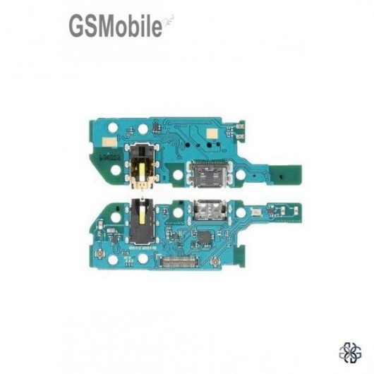 Samsung A20e 2019 Galaxy A202F Charging Module - Original