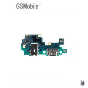GH96-13452A charging module