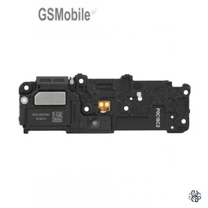 Galaxy S21 buzzer