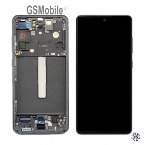 Display Galaxy S21 FE 5G G990B Grey - Original